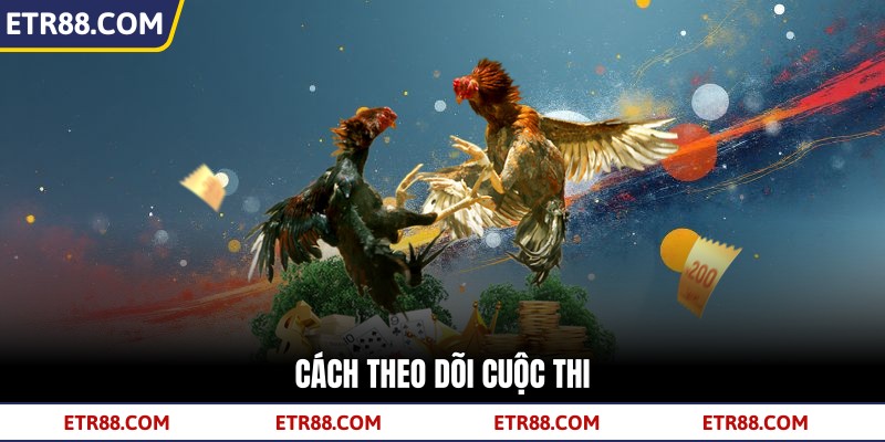 Cách theo dõi cuộc thi Cách theo dõi cuộc thi