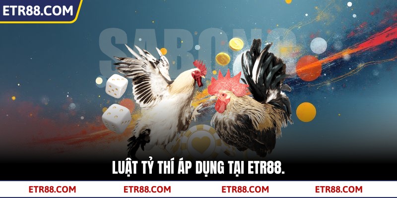  Luật tỷ thí áp dụng tại TR88.