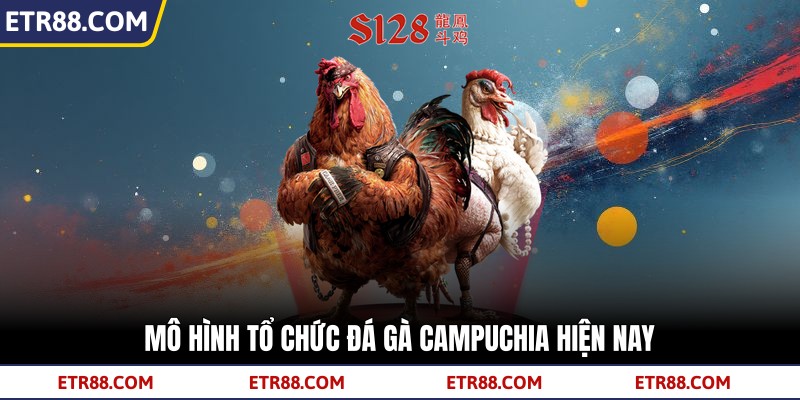 Mô hình tổ chức đá gà Campuchia hiện nay Mô hình tổ chức đá gà Campuchia hiện nay