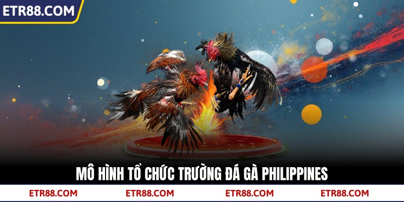  Mô hình tổ chức trường đá gà Philippines