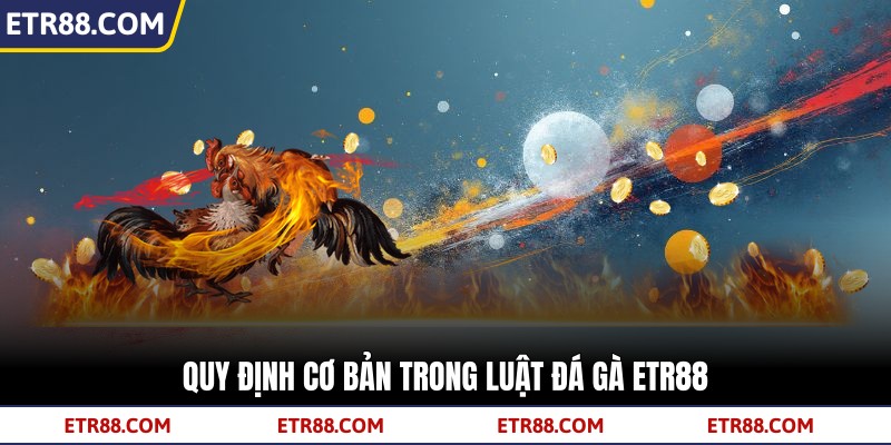 Quy định cơ bản trong luật đá gà TR88